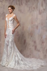 costantino-2017-Dalia-1